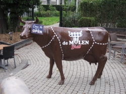 Alles over DE MOLEN